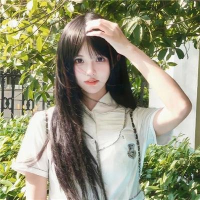 观鸟大年